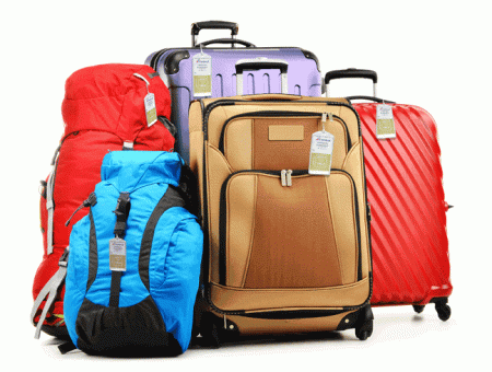 Cruise Luggage Tags Holders - Image 5